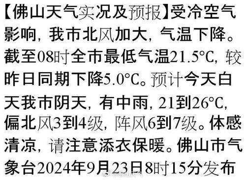 佛山今日爆料最新消息,揭秘今日重大事件背后的真相