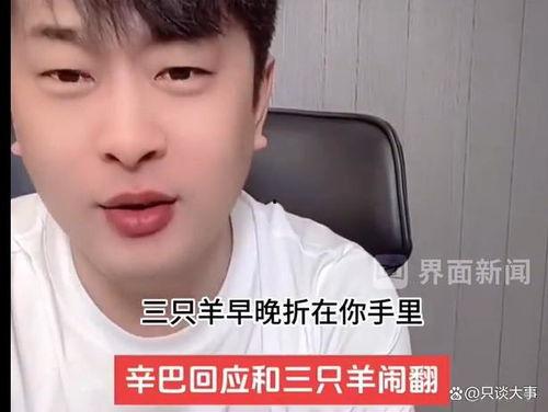 辛巴爆料情感直播视频,情感纠葛背后的真实故事 第2张 辛巴爆料情感直播视频,情感纠葛背后的真实故事 第2张