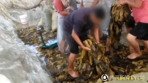 土坑酸菜爆料者是谁啊视频,爆料者身份成焦点