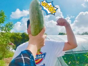 吃瓜网红吃瓜,揭秘娱乐圈幕后真相 第2张 吃瓜网红吃瓜,揭秘娱乐圈幕后真相 第2张