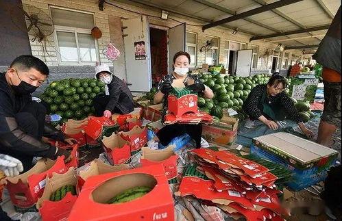 网红吃瓜群众图片高清,高清图揭秘网络红人的真实一面 第2张 网红吃瓜群众图片高清,高清图揭秘网络红人的真实一面 第2张