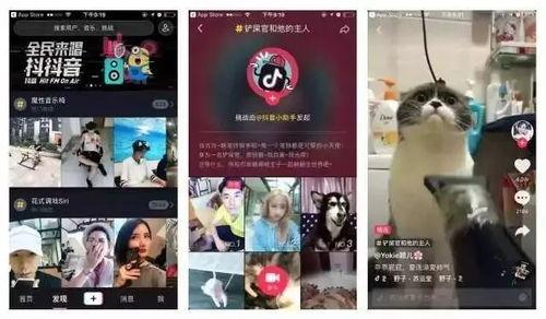 抖音直播间娱乐圈爆料,抖音直播间揭秘明星幕后故事 第2张 抖音直播间娱乐圈爆料,抖音直播间揭秘明星幕后故事 第2张
