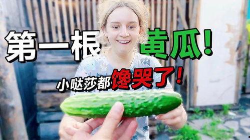 吃瓜丈母娘电视剧免费,揭秘现代家庭甜蜜“战事” 第3张 吃瓜丈母娘电视剧免费,揭秘现代家庭甜蜜“战事” 第3张