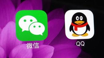 网红吃瓜qq群免费,免费畅享娱乐圈最新资讯
