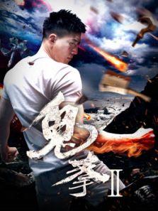 鬼拳二在线观看完整版,在线观看完整版，揭秘神秘拳法传奇  第2张