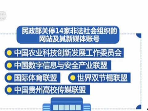 青岛新闻今日爆料,独家爆料揭示重大事件内幕