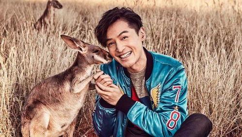娱乐圈爆料君胡歌是谁,胡歌背后的神秘身份 第3张 娱乐圈爆料君胡歌是谁,胡歌背后的神秘身份 第3张