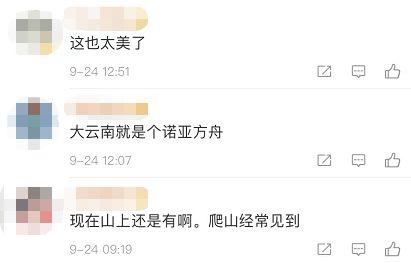 热点爆料点视频,视频内容深度解析  第2张