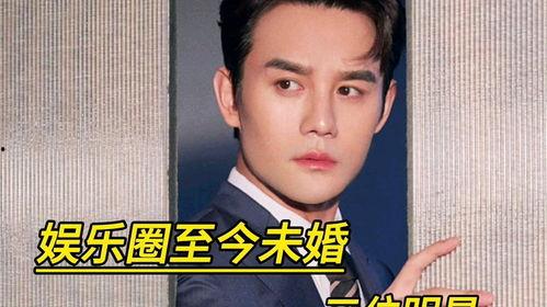 台湾男明星未婚爆料视频,揭秘娱乐圈背后的秘密