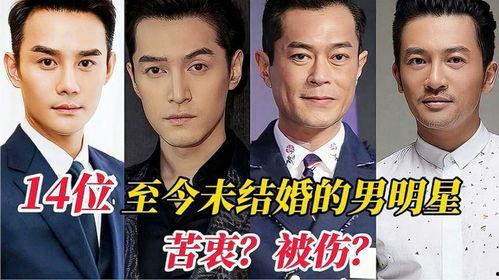 台湾男明星未婚爆料视频,揭秘娱乐圈背后的秘密 第2张 台湾男明星未婚爆料视频,揭秘娱乐圈背后的秘密 第2张