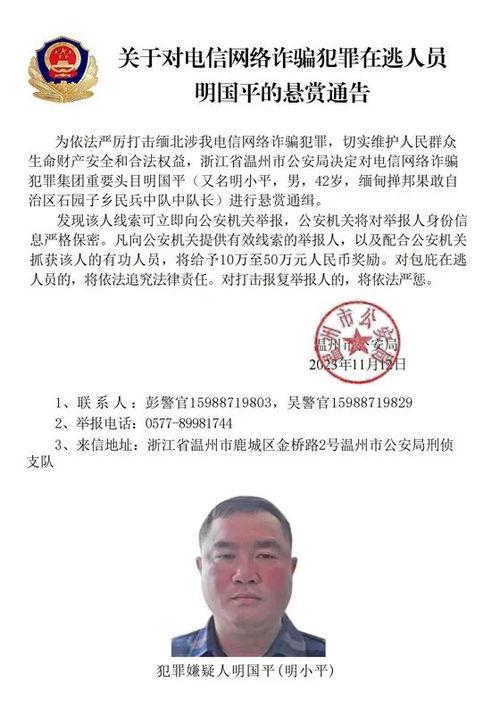 商人爆料缅北案件视频播放,商人爆料视频曝光惊人内幕  第2张