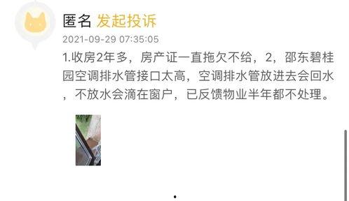 碧桂园爆料小夜曲视频,揭秘项目背后的故事与真相 第3张 碧桂园爆料小夜曲视频,揭秘项目背后的故事与真相 第3张