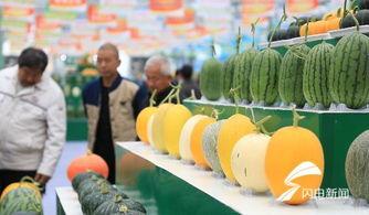 新瓜最新爆料潍坊,揭秘背后惊人真相 第2张 新瓜最新爆料潍坊,揭秘背后惊人真相 第2张