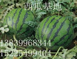 新瓜最新爆料潍坊,揭秘背后惊人真相 第3张 新瓜最新爆料潍坊,揭秘背后惊人真相 第3张