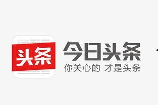 武汉今日资讯爆料热线,聚焦城市脉搏,倾听市民声音 第3张 武汉今日资讯爆料热线,聚焦城市脉搏,倾听市民声音 第3张