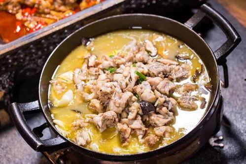 爆料牛蛙视频大全,爆笑视频大全集锦 第3张 爆料牛蛙视频大全,爆笑视频大全集锦 第3张