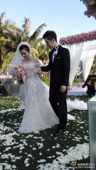 苏醒爆料王栎鑫结婚视频,甜蜜婚礼视频引网友热议