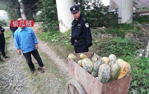 盐山网红吃瓜事件,揭秘网络舆论背后的真相与反思 第2张 盐山网红吃瓜事件,揭秘网络舆论背后的真相与反思 第2张