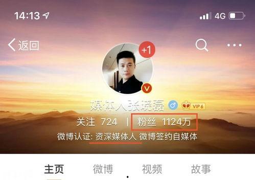 资深新闻爆料人,幕后推手如何影响舆论风云
