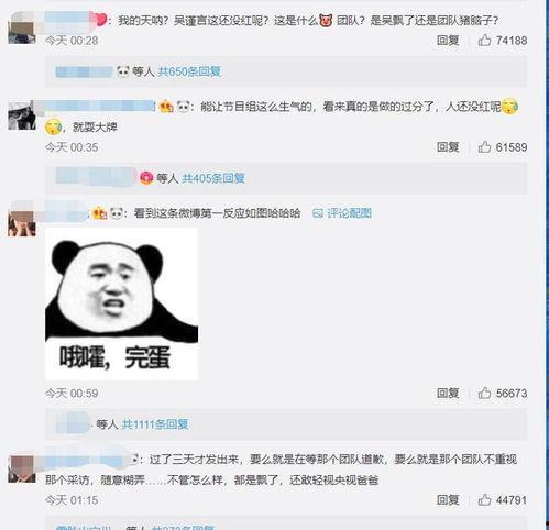 吴瑾言最新爆料视频大全,揭秘幕后故事与精彩瞬间 第2张 吴瑾言最新爆料视频大全,揭秘幕后故事与精彩瞬间 第2张