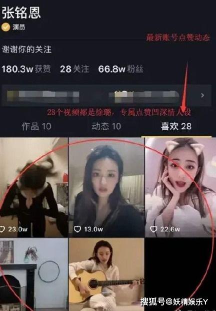 爆料社的视频在线观看,独家内容深度解析