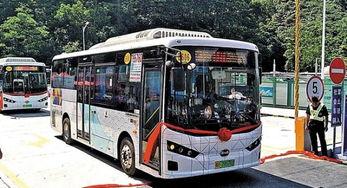 深圳公交车女士爆料新闻,惊现“咸猪手”事件引关注