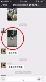 微信群爆料小视频,揭秘背后的惊人真相  第2张