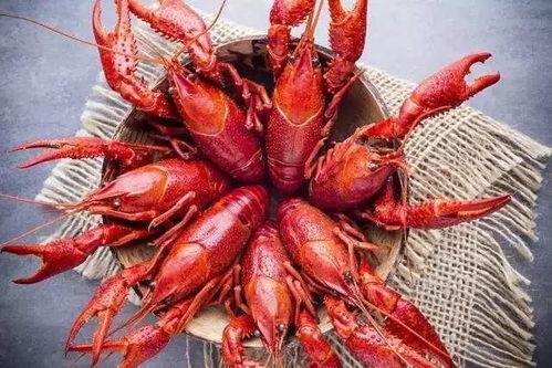 厦门龙虾爆料视频最新版,揭秘海鲜市场惊人内幕! 第2张 厦门龙虾爆料视频最新版,揭秘海鲜市场惊人内幕! 第2张