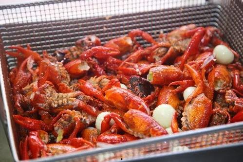 厦门龙虾爆料视频最新版,揭秘海鲜市场惊人内幕! 第3张 厦门龙虾爆料视频最新版,揭秘海鲜市场惊人内幕! 第3张