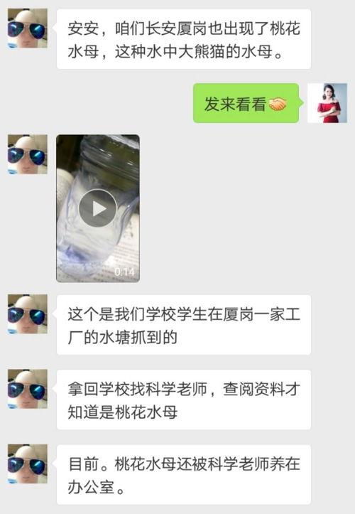 报料爆料发视频可以吗,报料爆料,视频见证时代风云 第3张 报料爆料发视频可以吗,报料爆料,视频见证时代风云 第3张