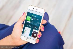 打蛇支持手机在线观看,揭秘打蛇支持背后的精彩瞬间