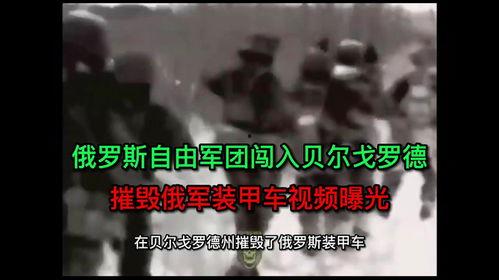 最新俄罗斯爆料视频,俄罗斯最新爆料视频曝光惊人内幕  第3张