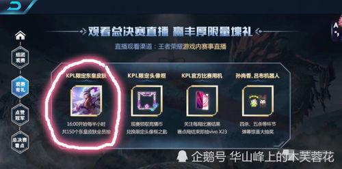 王者世界最新爆料,神秘爆料揭秘新英雄与神秘势力崛起  第2张