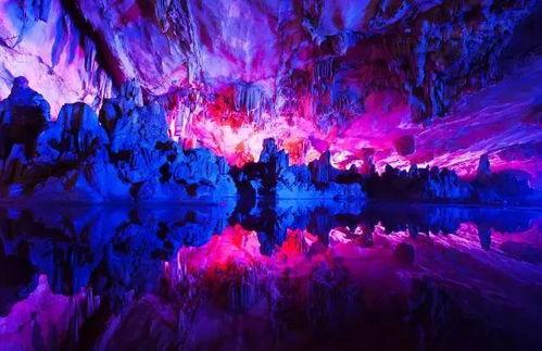 桂林神兽过江爆料视频,神秘生物引网友热议  第2张