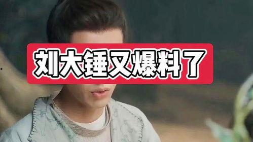 刘大锤其他爆料视频,从爆料视频看娱乐圈幕后真相 第2张 刘大锤其他爆料视频,从爆料视频看娱乐圈幕后真相 第2张