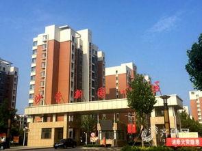 东营最新爆料,揭秘城市新动向与未来发展规划