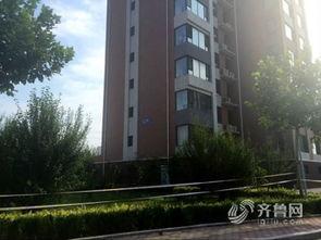 东营最新爆料,揭秘城市新动向与未来发展规划  第3张