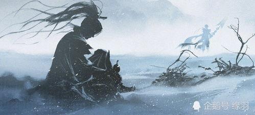 探幽系列爆料视频,探寻未知世界的奥秘之旅