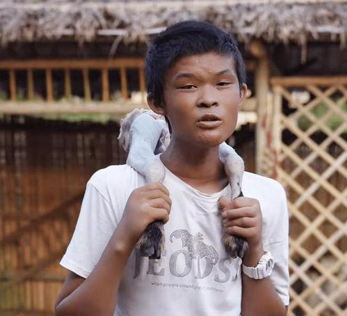 阳弟直播爆料最新消息,揭秘行业动态，热点事件一网打尽