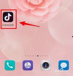 抖音爆料视频在哪里发送,揭秘热门短视频传播秘密
