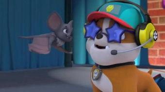 蝙蝠韩国手机在线观看,神秘悬疑，惊悚来袭  第3张