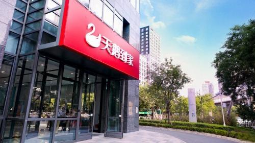 天鹅到家月嫂最新爆料,揭秘行业内幕与真实服务体验  第3张