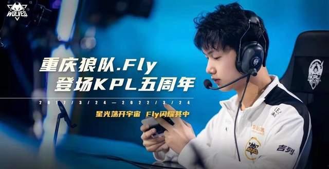 fly爆料视频,带你一探究竟