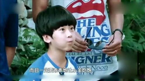 娱乐八卦独家爆料车祸,娱乐明星车祸事件，背后真相令人震惊