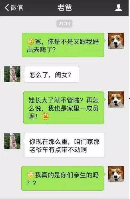 关于娱乐圈吃瓜的幽默段子,笑料百出，揭秘明星幕后趣闻  第3张