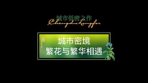 娱乐爆料视频背景图片,独家背景图片大揭秘  第3张