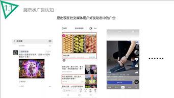 新闻爆料社完整版,独家内幕与深度剖析