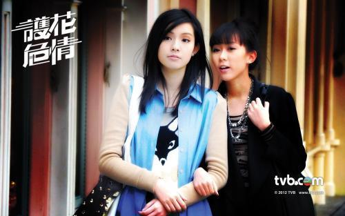 护花危情在线观看  第2张