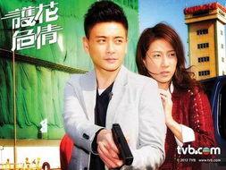 护花危情在线观看  第3张