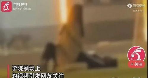 沈阳校园爆料事件视频,真相与争议交织的校园风云